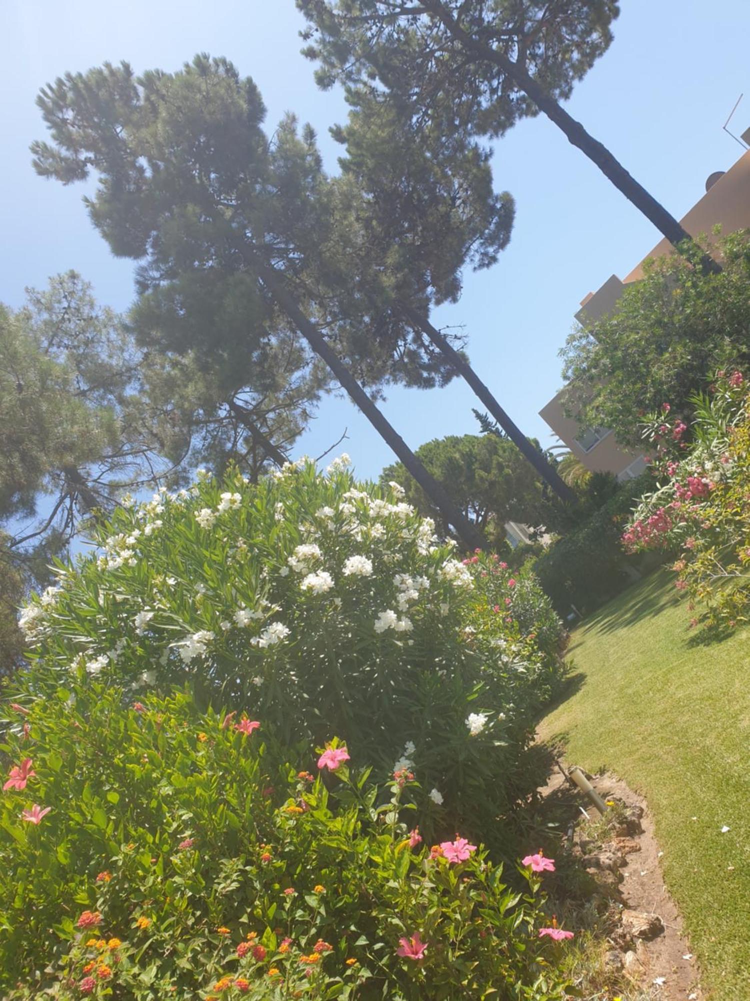 The Pinewood Villa Vilamoura Quarto foto